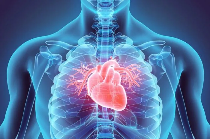heart treatment| cardiology| top online idrp programme in trivandrum | kerala IDRP treatment in trivandrum | Kerala | Online | Diabetes Treatment in Trivandrum | Kerala | Online
